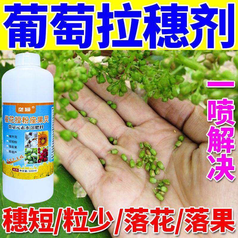 阳光玫瑰葡萄拉穗膨果防裂肥
