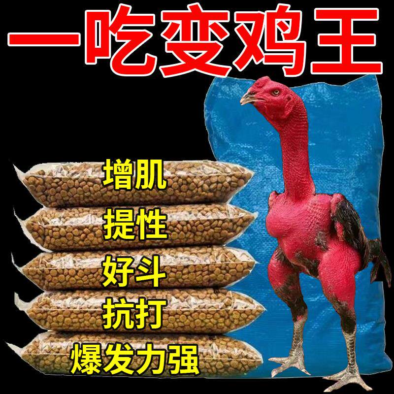 斗鸡专用饲料抗打增肌补钙红