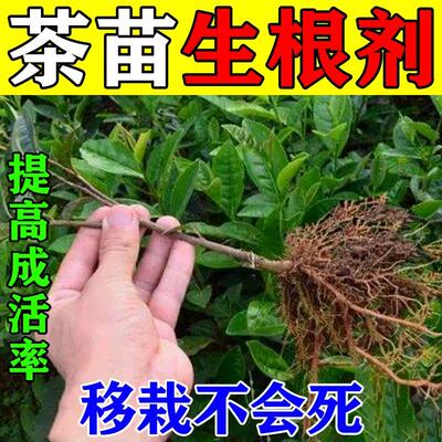茶树专用强力生根壮苗复合肥