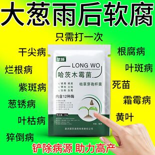 大葱病害药大葱锈病霜霉软腐病全治黄叶烂根干尖哈茨木霉菌杀菌剂