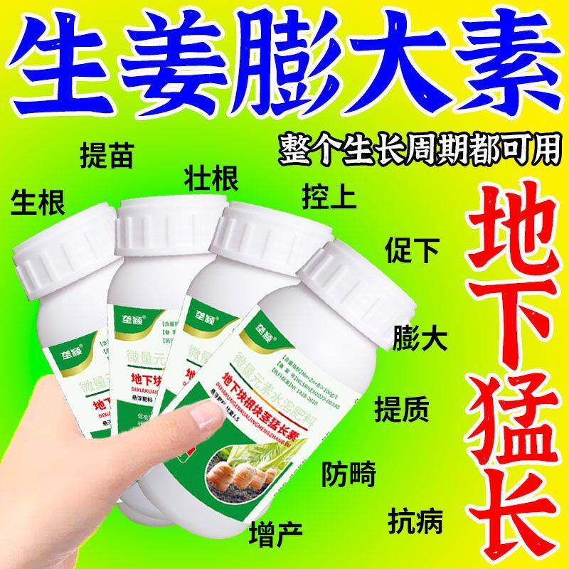 生姜控旺膨大增产专用肥