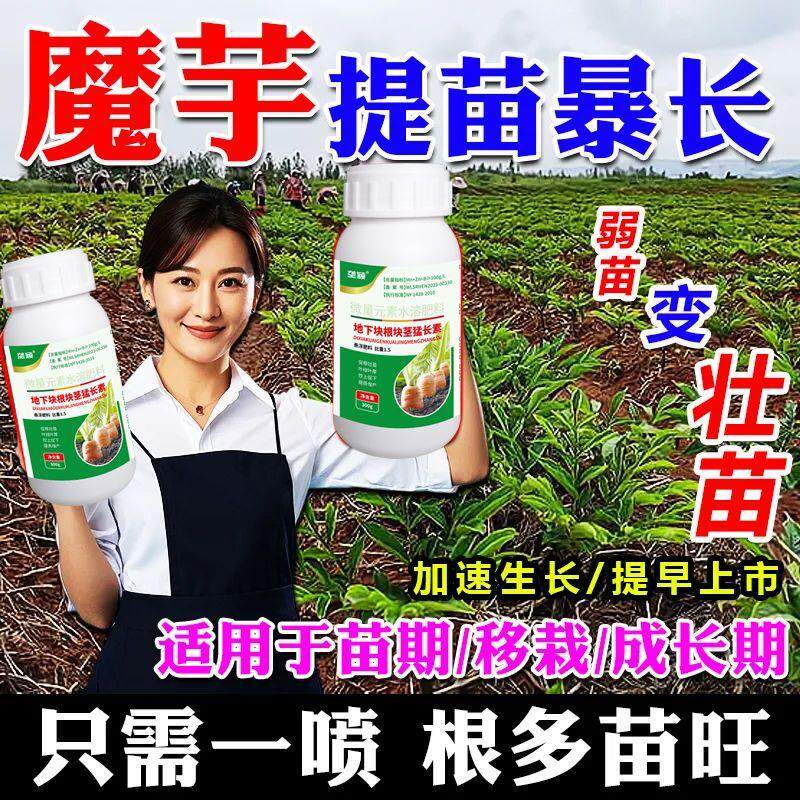 魔芋专用提苗壮苗抗根腐肥