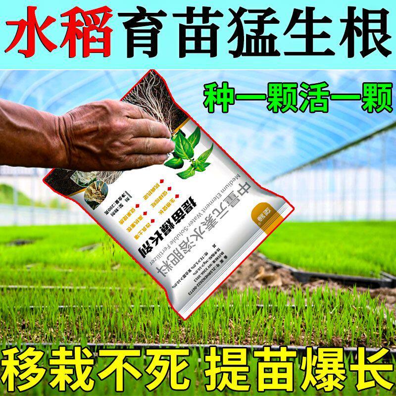水稻育苗壮秧剂床生根专用