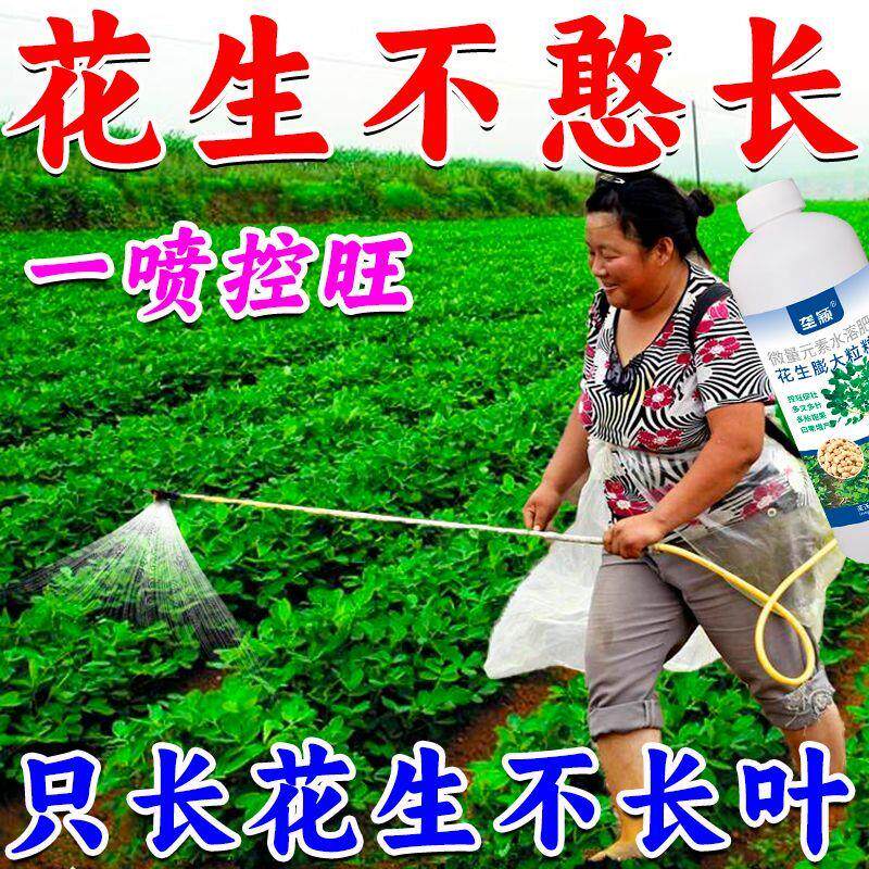 花生控旺矮壮促分叉增产剂