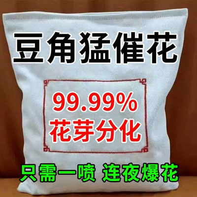 豆角花芽分化催素强效促保