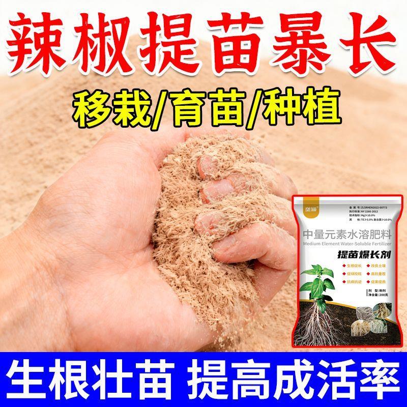 辣椒育苗生根壮苗促长抗病增产