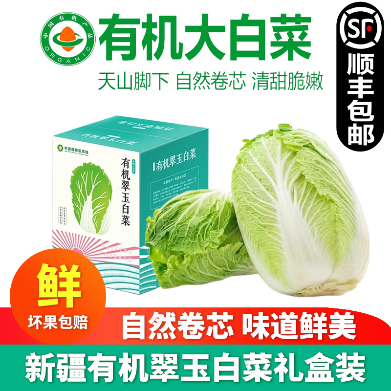 新疆焉耆半亩园有机翠玉白菜新鲜生菜绿色蔬菜当季霜打白菜清甜