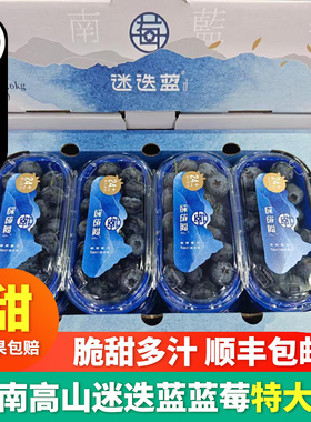 迷迭蓝云南蓝莓L25花香蓝莓超大果24+新鲜水果孕妇水果顺丰包邮