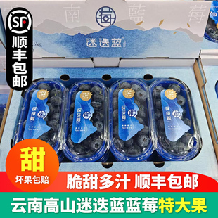 包邮 迷迭蓝云南蓝莓L25花香蓝莓超大果24 新鲜水果孕妇水果顺丰