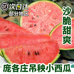 北京大兴庞各庄西瓜L600头茬吊秧小西瓜手撕小西瓜水果礼盒整箱装
