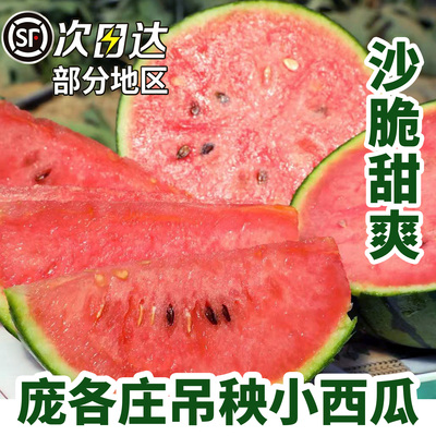 北京大兴庞各庄头茬吊秧小西瓜