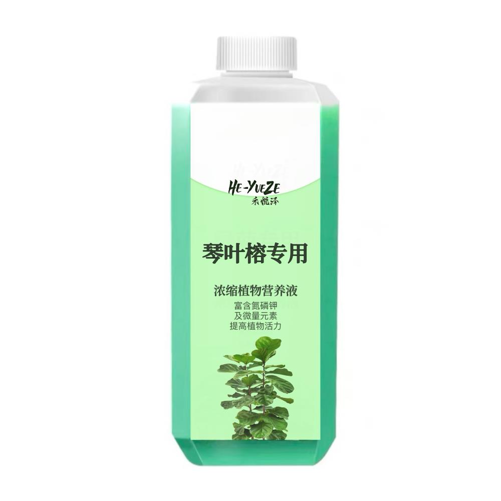 琴叶榕专用肥料营养液爱心榕花叶榕黄金榕营养液肥改善黄叶锈斑病