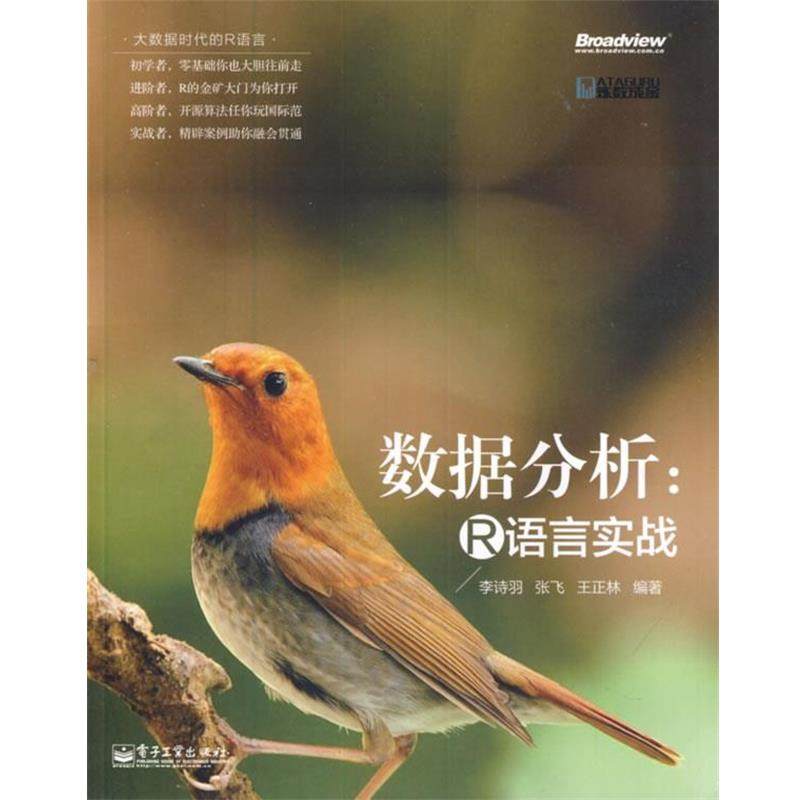 【正版书】 数据分析:R语言实战 李诗羽　等编著 电子工业出版社