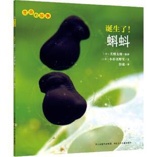 【正版书】 生命的故事:诞生了蝌蚪；辑 [日]小杉美野里,彭懿 安徽教育出版社