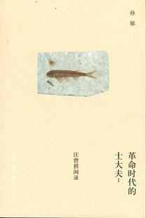 正版 汪曾祺闲录 现货 士大夫 孙郁 革命时代