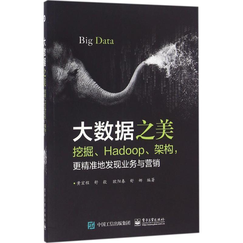 【正版书】 大数据之美:挖掘、Hadoop、架构，更精准地发现业务与营销 黄宏程　等编著 电子工业出版社