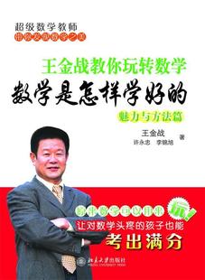 【正版现货】王金战教你玩转数学 数学是怎样学好的(魅力与方法篇) 王金战、许永忠、李锦