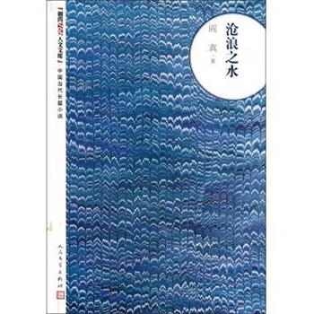 【正版书】 沧浪之水 阎真 著 人民文学出版社