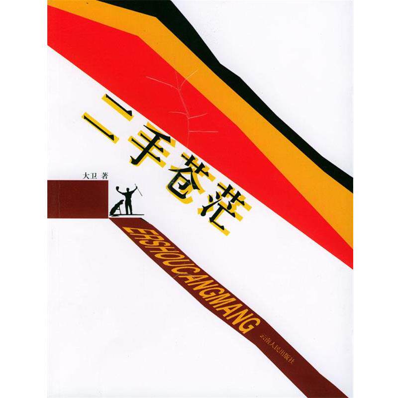 【正版书】 二手苍茫 大卫 云南人民出版社