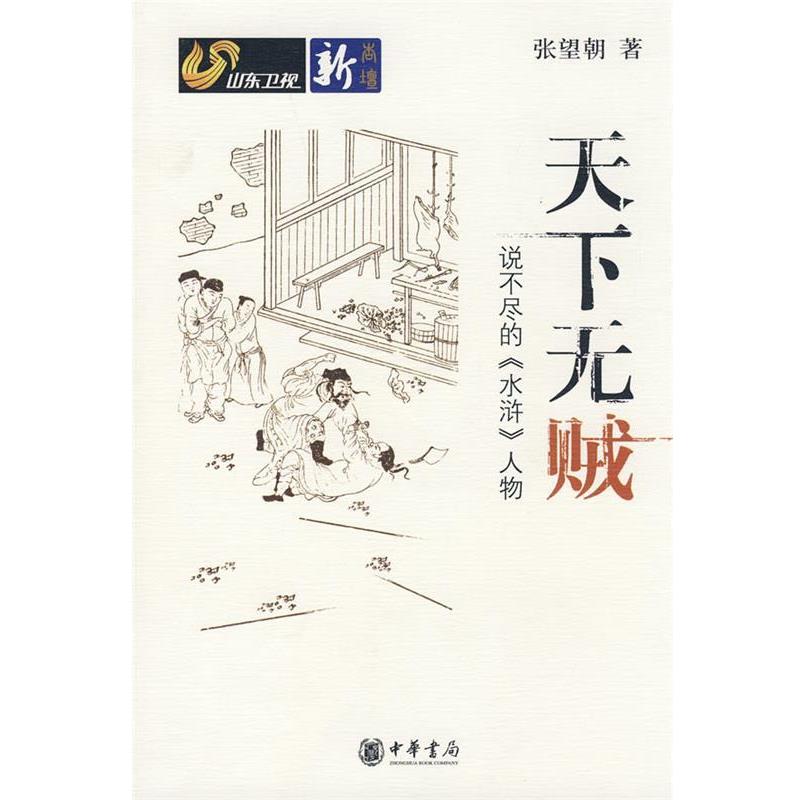 【正版书】 天下无贼说不尽的《水浒》人物 张望朝 著 中华书局