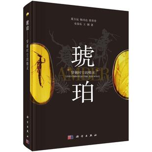 琥珀 社 科学出版 张青青 正版 书 史恭乐 精灵 穿越时空 著 夏方远 王博 杨功达