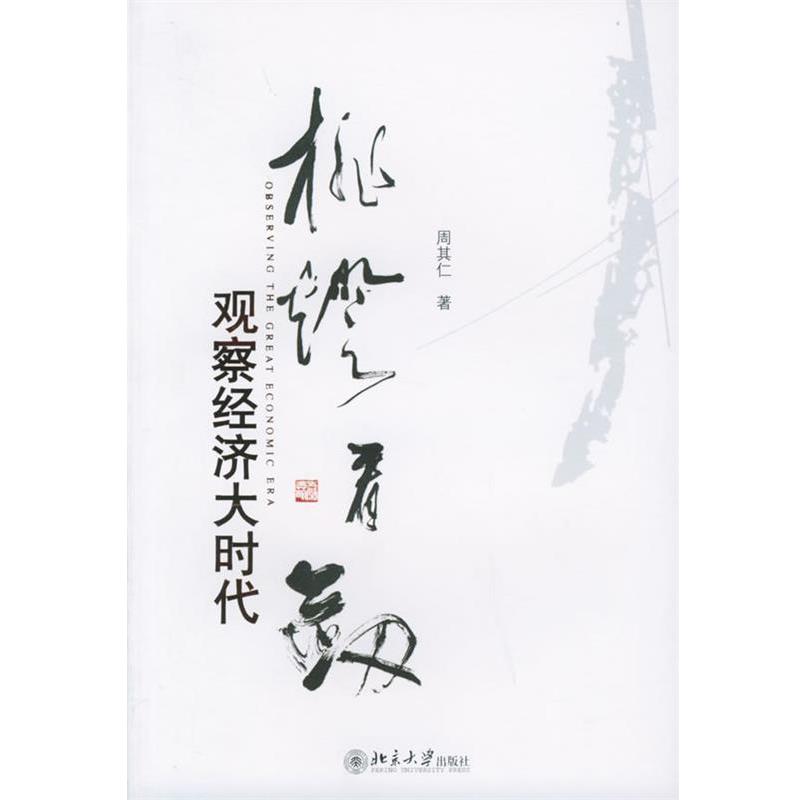 【正版书】 挑灯看剑:观察经济大时代 周其仁 著 北京大学出版社