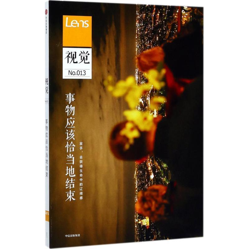 【正版现货】视觉013-事物应该恰当地结束 Lens 作者
