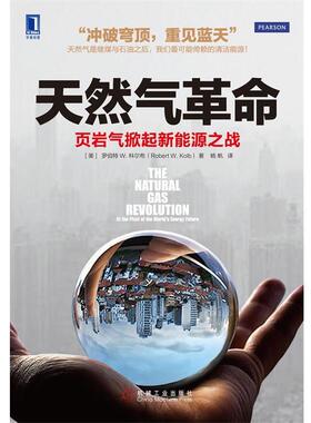 【正版书】 天然气革命:页岩气掀起新能源之战 罗伯特 W.科尔布 (Robert W.Kolb), 杨帆 机械工业出版社