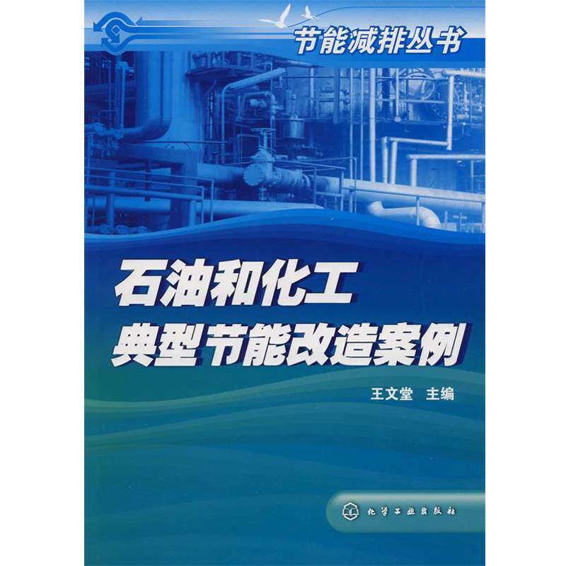 【正版书】 节能减排丛书--石油和化工典型节能改造案例 王文堂 主编 化学工业出版社