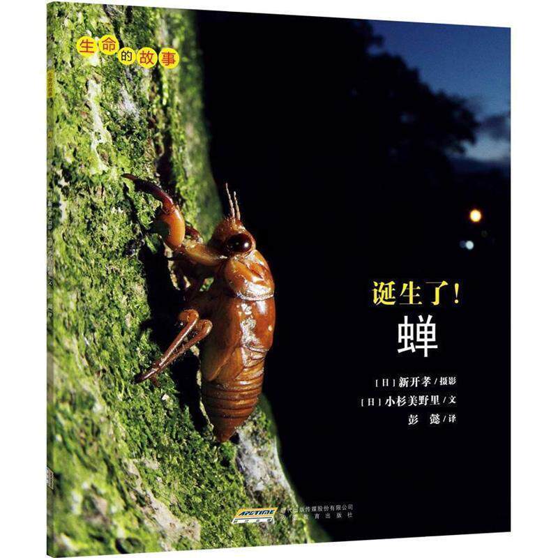 【正版书】 诞生了蝉 生命的故事 小杉美野里 安徽教育出版社