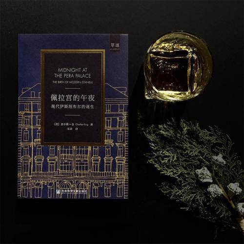 【正版书】 《佩拉宫的午夜—现代伊斯坦布尔的诞生》 [美]查尔斯·金 社会科学文献·甲骨文工作室