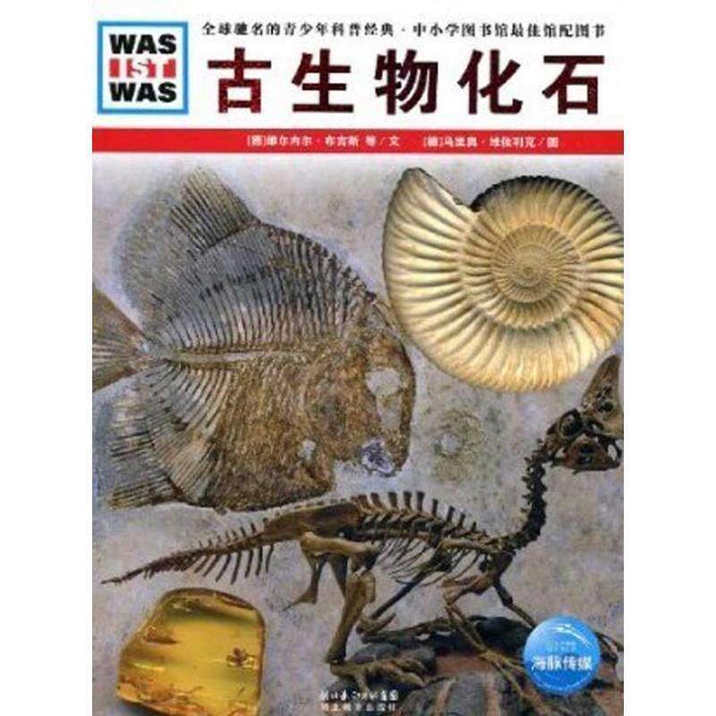 【正版书】 古生物化石 (德)维尔内尔·布吉斯,克里斯蒂安·布吉斯 文,(德)马里奥·维佐利克 图,王勋华 译 湖北教育出版社
