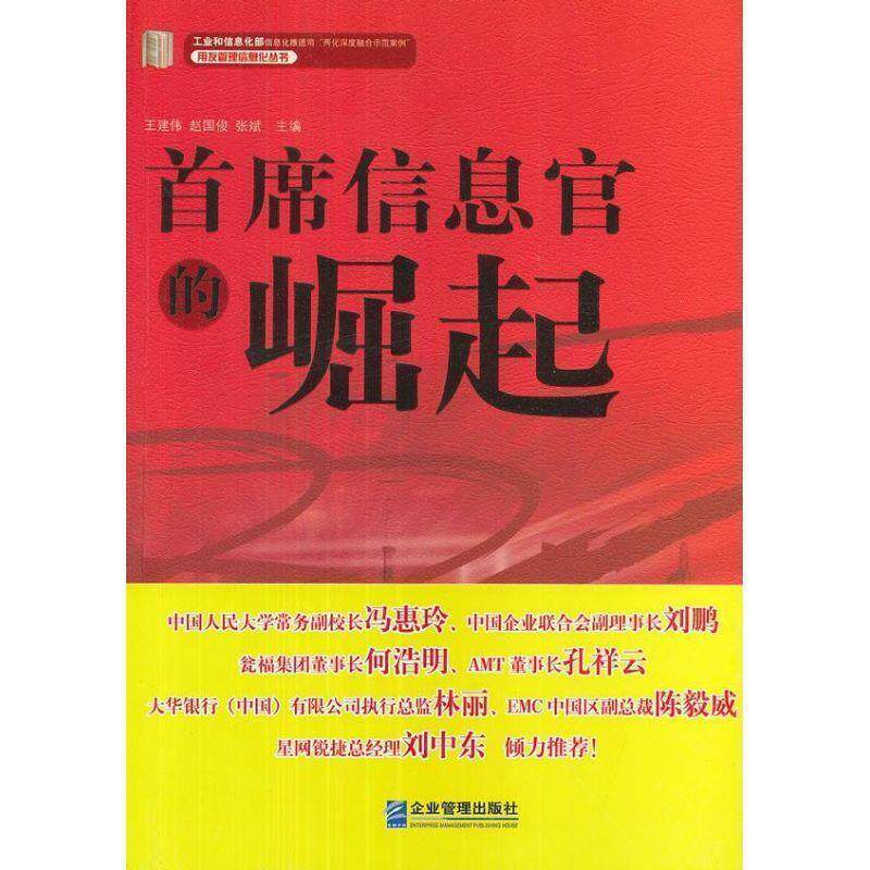 【正版书】 首席信息官的崛起 王建伟,赵国俊,张斌 编 企业管理出版社