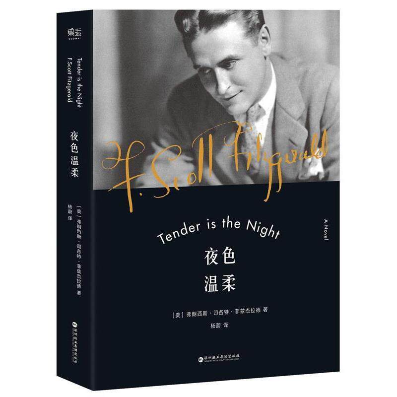 【正版书】 夜色温柔 弗朗西斯·司各特·菲兹杰,译者 杨蔚 ,果麦文化 出品 深圳报业集团出版社