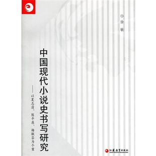 【正版书】 中国现代小说史书写研究:以夏志清、陈平原、杨联芬为个案 徐敏 著 江苏教育出版社