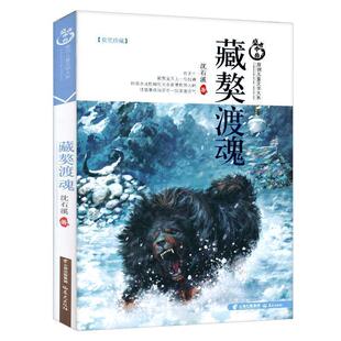 【正版现货】盛世中国原创儿童文学大系 藏獒渡魂 沈石溪