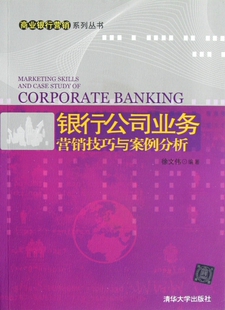 【正版现货】商业银行营销系列丛书 银行公司业务营销技巧与案例分析 徐文伟