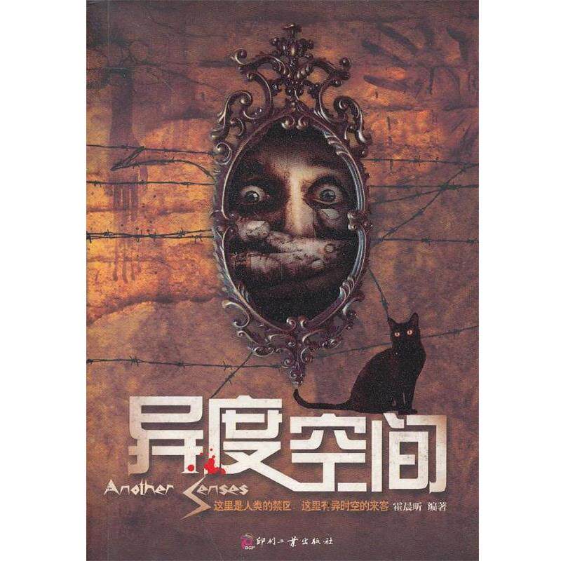 【正版书】 异度空间 霍晨昕 文化发展出版社