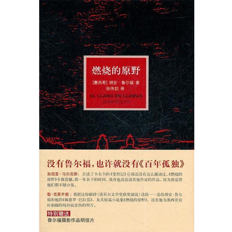 【正版书】 燃烧的原野 (墨)鲁尔福 著,张伟劼 译 译林出版社