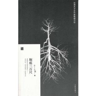 【正版书】 地底三万尺 朱少麟 作家出版社