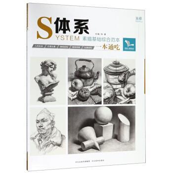 【正版书】 体系 素描基础综合范本 我有我一套系列丛书 孙建 编 河北美术出版社