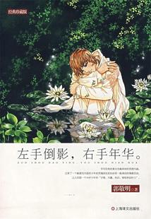 左手倒影右手年华 现货 郭敬明 正版