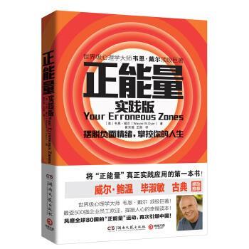 【正版书】 正能量 [美] 韦恩·戴尔（Wayne W.Dyer） 著,崔京瑞,王南 译 湖南文艺出版社
