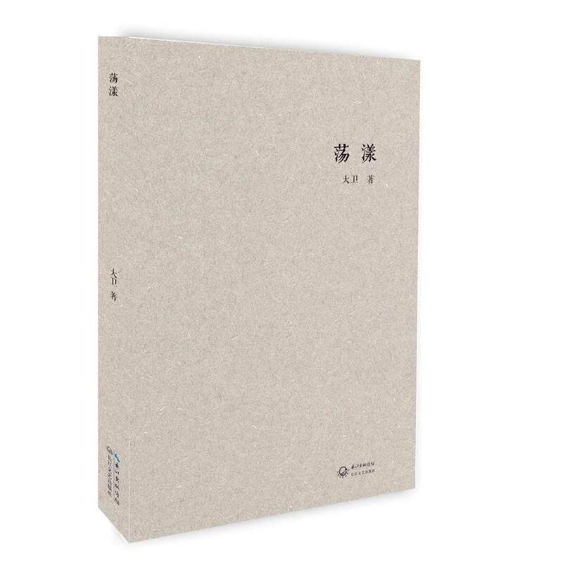 【正版书】 荡漾 大卫 长江文艺出版社