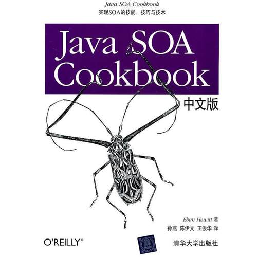 【正版书】 Java SOA Cookbook中文版 (美)休依特 著,孙燕 等译 清华大学出版社