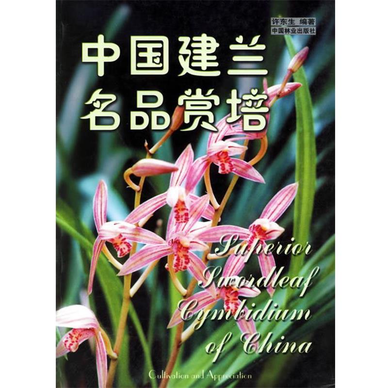 【正版书】 中国建兰名品赏培 许东生 编著 中国林业出版社