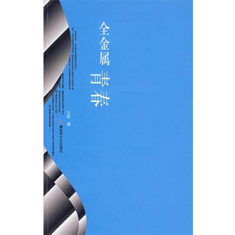 【正版书】 全金属青春 王凯 著 文艺出版社