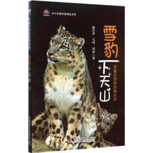 【正版书】 雪豹下天山 赵序茅,马鸣,邢睿 著 科学普及出版社