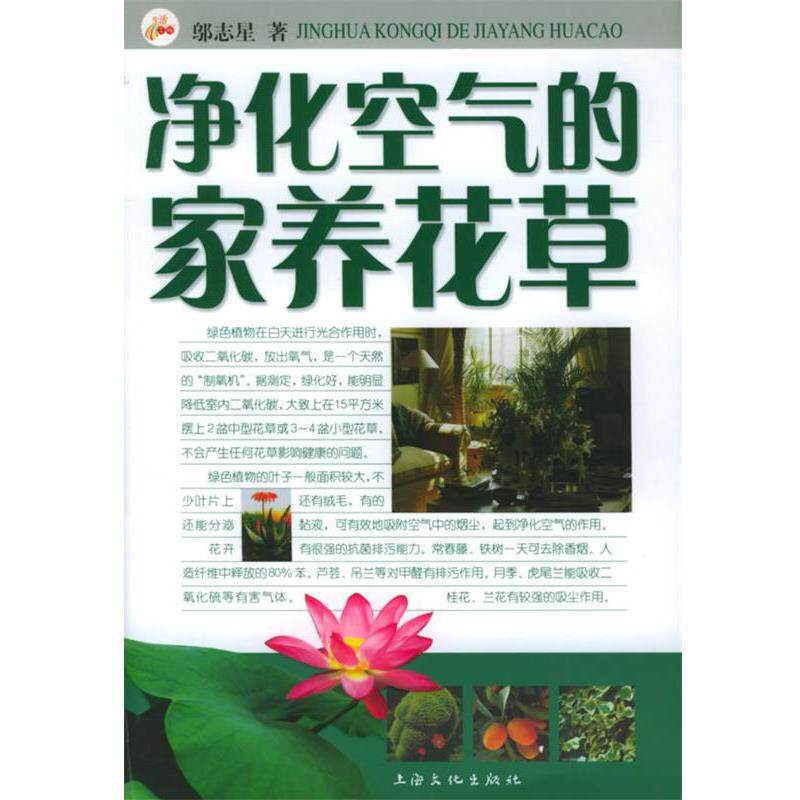 【正版书】 净化空气的家养花草 邬志星 著 上海文化出版社