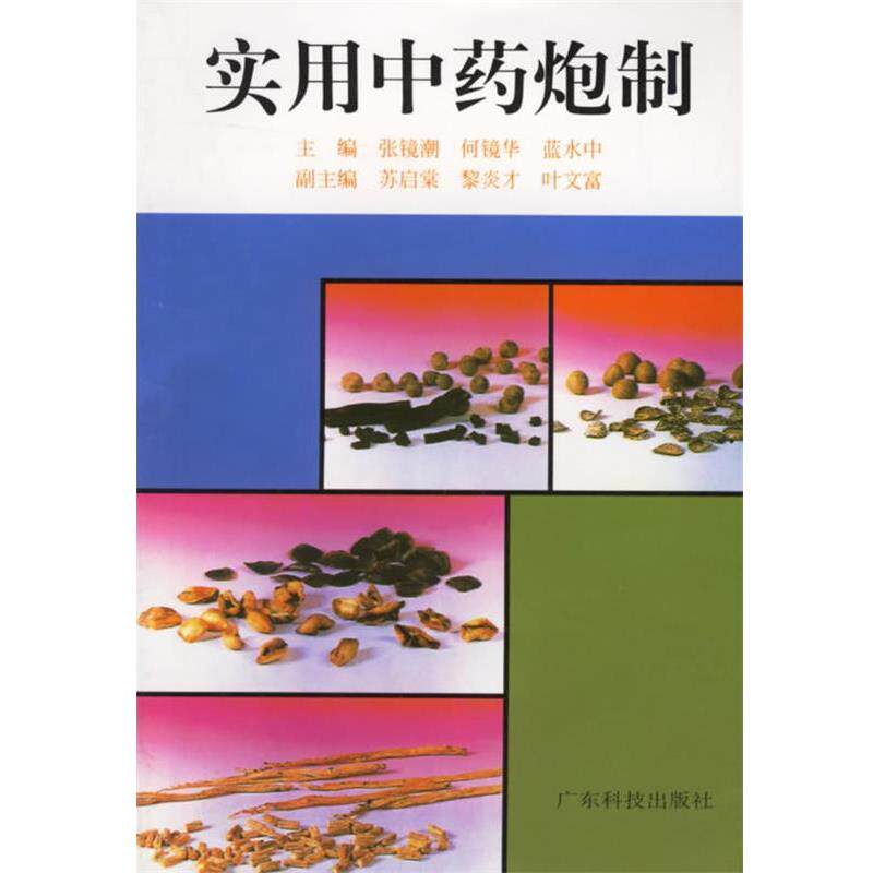 【正版书】 实用中药炮制 张镜湖 等主编 广东科技出版社